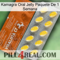 Kamagra Oral Jelly 1 Week Pack 42